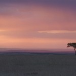 Sunset, Masai Mara National Park - Kenya (3)