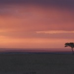 Sunset, Masai Mara National Park - Kenya (4)