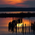 Sunset, Blackwater NWR - USA (4551)