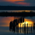 Sunset, Blackwater NWR - USA (4574)