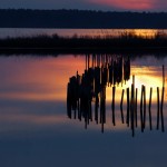 Sunset, Blackwater NWR - USA (4585)