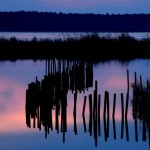 Sunset, Blackwater NWR - USA (4638)