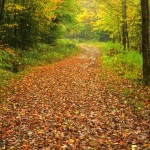 Fall Colors, Vermont - USA (3479)