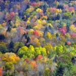 Fall Colors, Vermont - USA (3762)