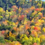 Fall Colors, Vermont - USA (3789)