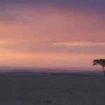 Sunset, Masai Mara - Kenya (003)