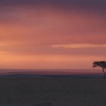Sunset, Masai Mara - Kenya (004)