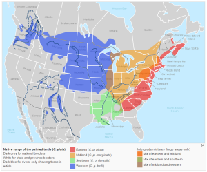 Painted Turtle Distribution Map