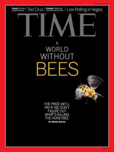 bee-cover-0813