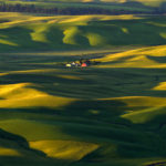 Palouse, Washington (5199)