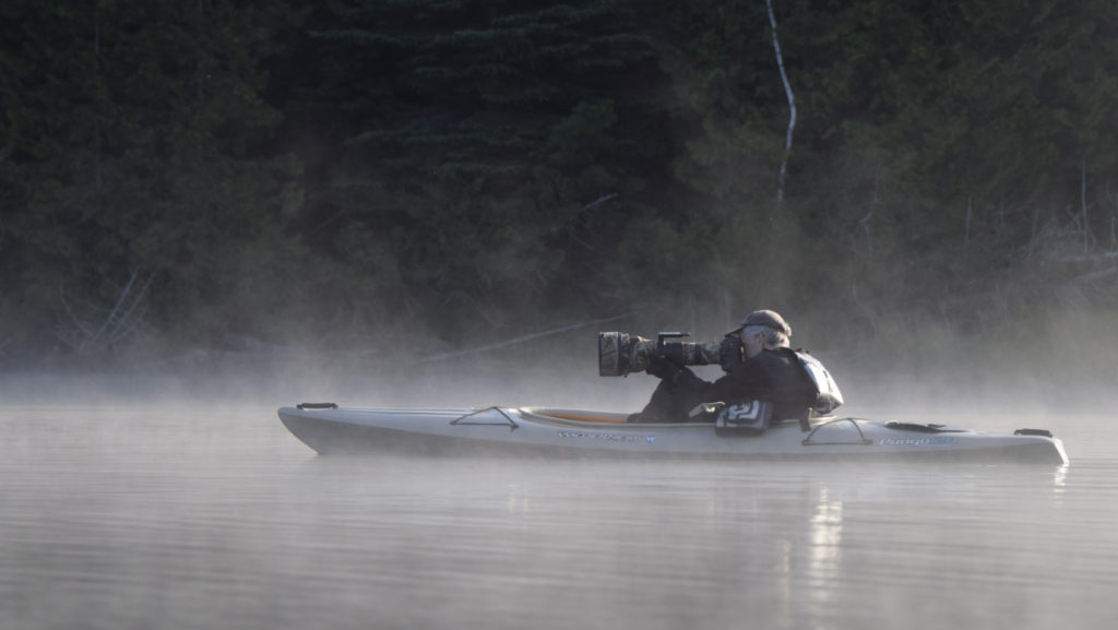 Wildlife Photography from a Kayak (8011)