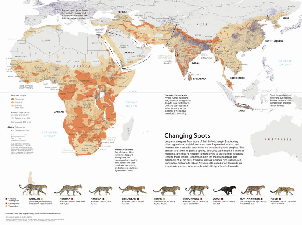 Leopard Range Map