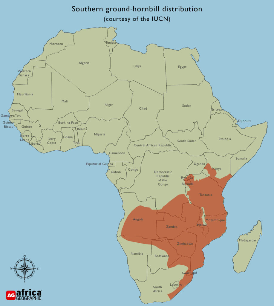 Southern Ground Hornbill Range Map