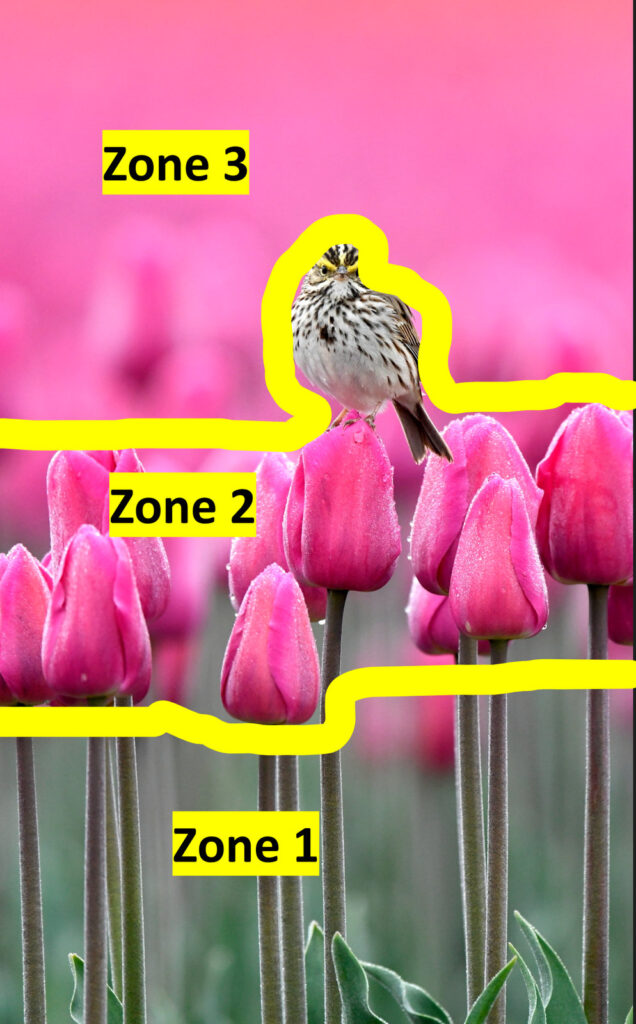 Zones