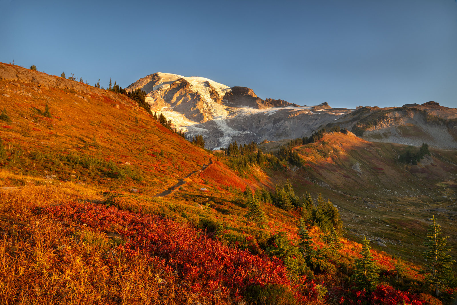 Fall Foliage (6446) - Mt. Rainier Fall Foliage (6446) - Mt. Rainier