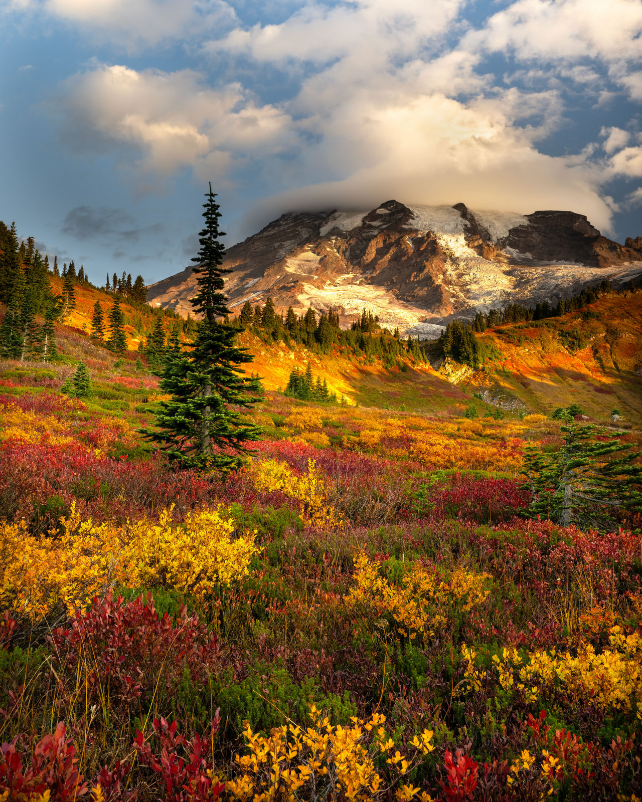 Mt. Rainier Fall Meadow (5610) Mt. Rainier Fall Meadow (5610)